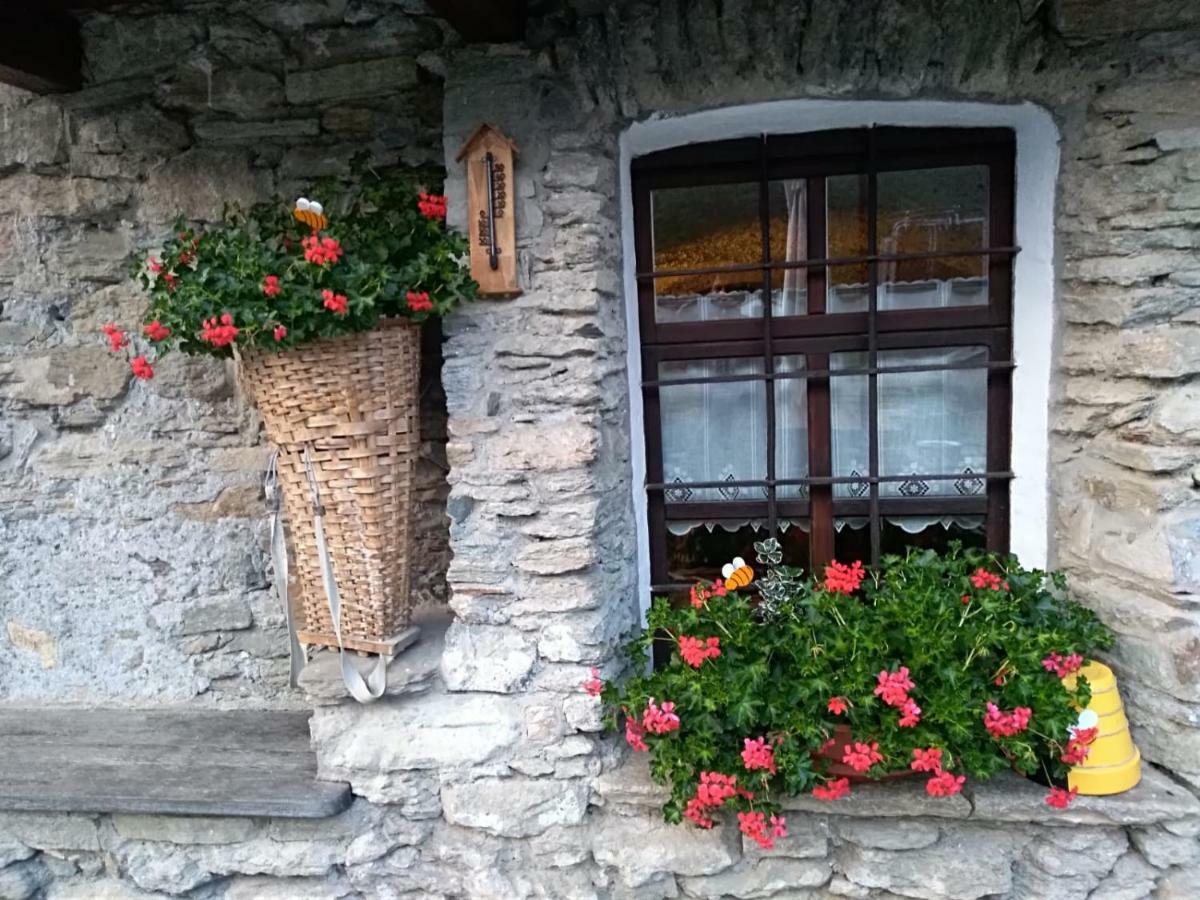 Agriturismo Meizoun Blancho フェネストレッレ エクステリア 写真